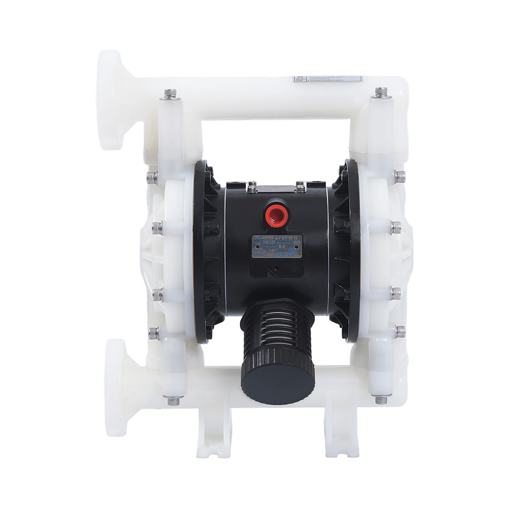 1" PVDF diaphragm pump